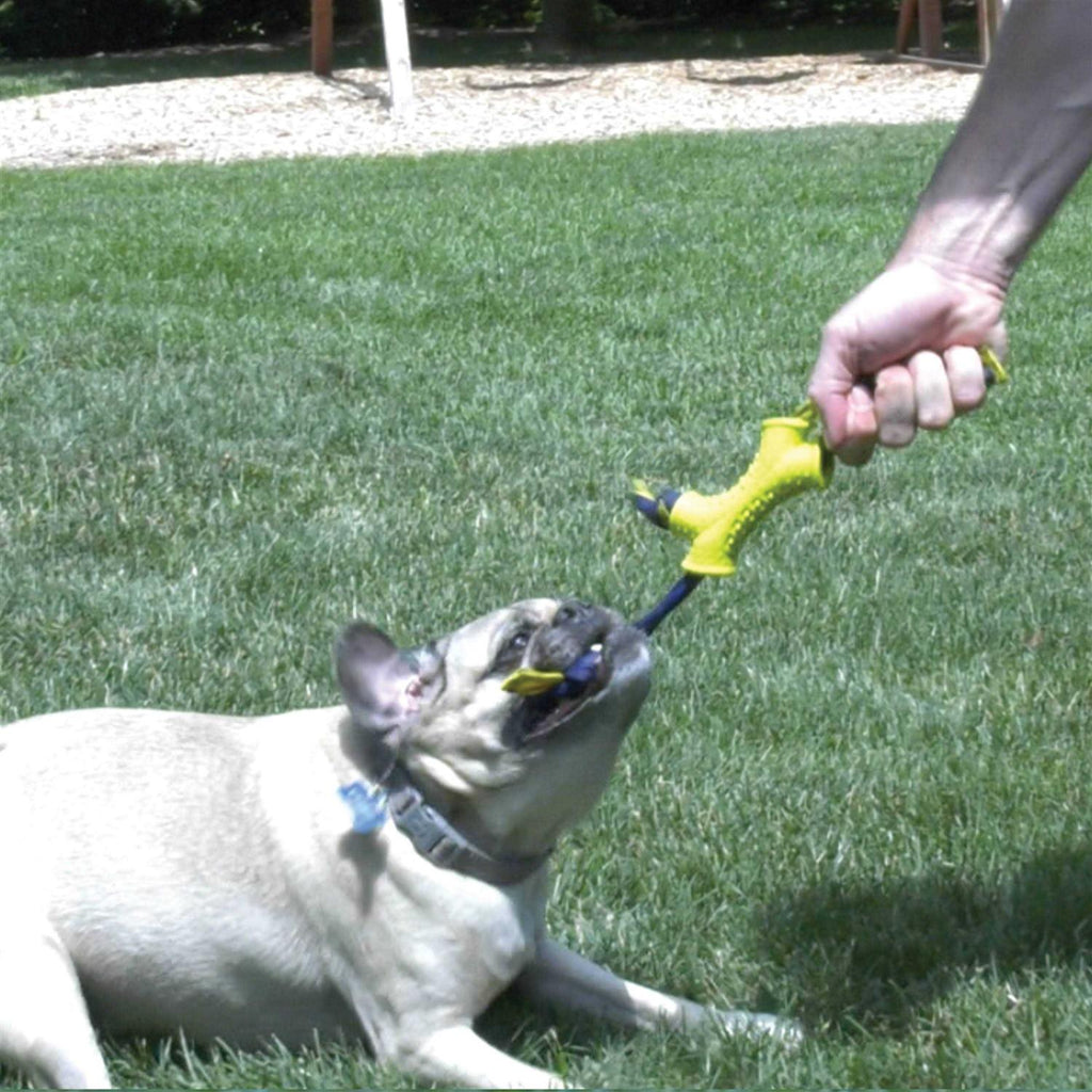 Dog Toy E555761