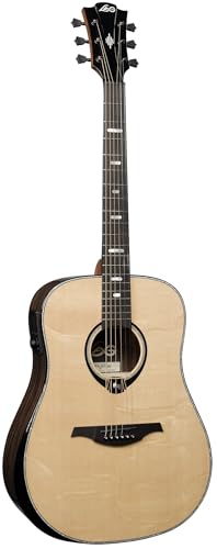 50 Dreadnought Bevel Gloss Acoustic Guitar X861