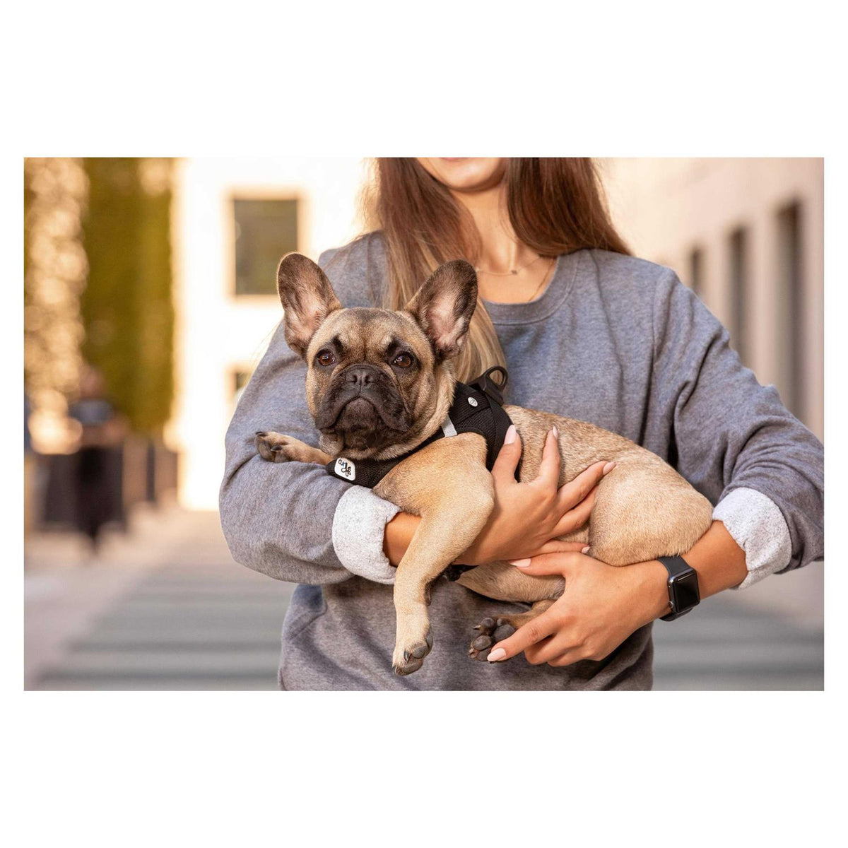 Air-Mesh Dog Harness H187
