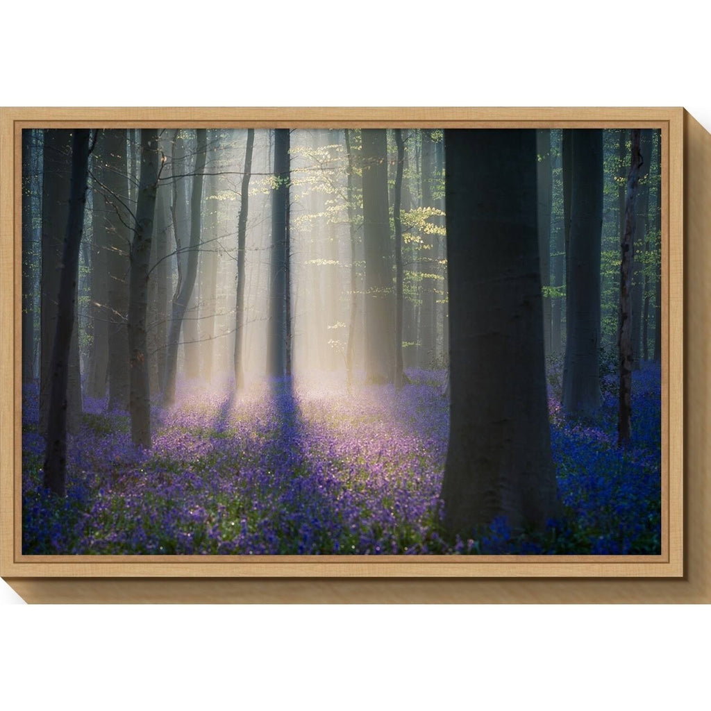 Framed Canvas Art A174
