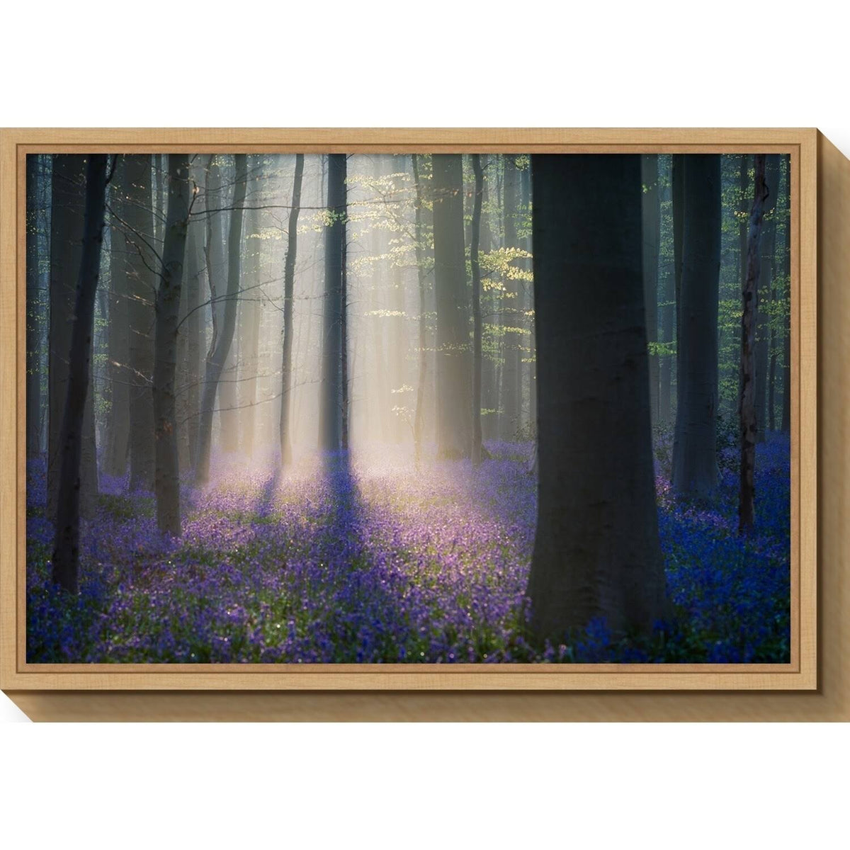 Framed Canvas Art A174
