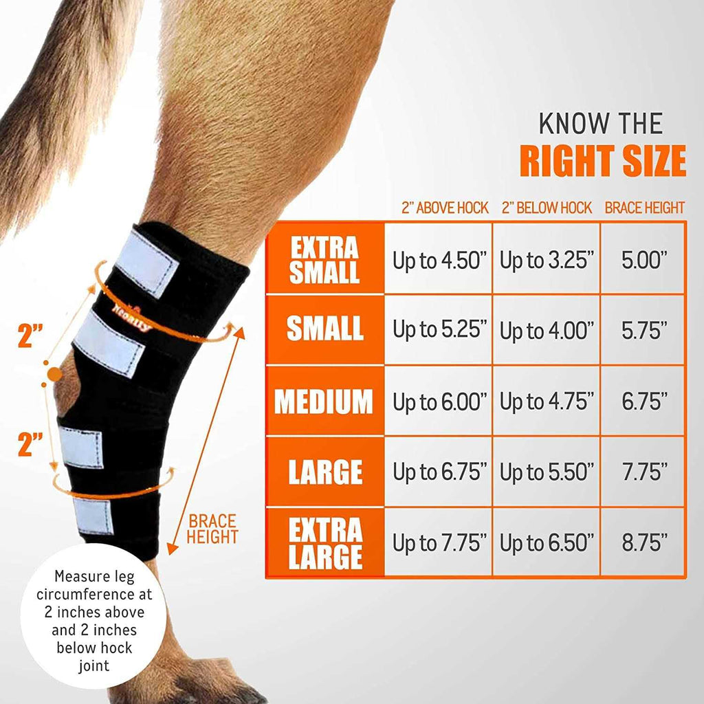 Dog Hind Leg Brace with Reflective Straps K6031