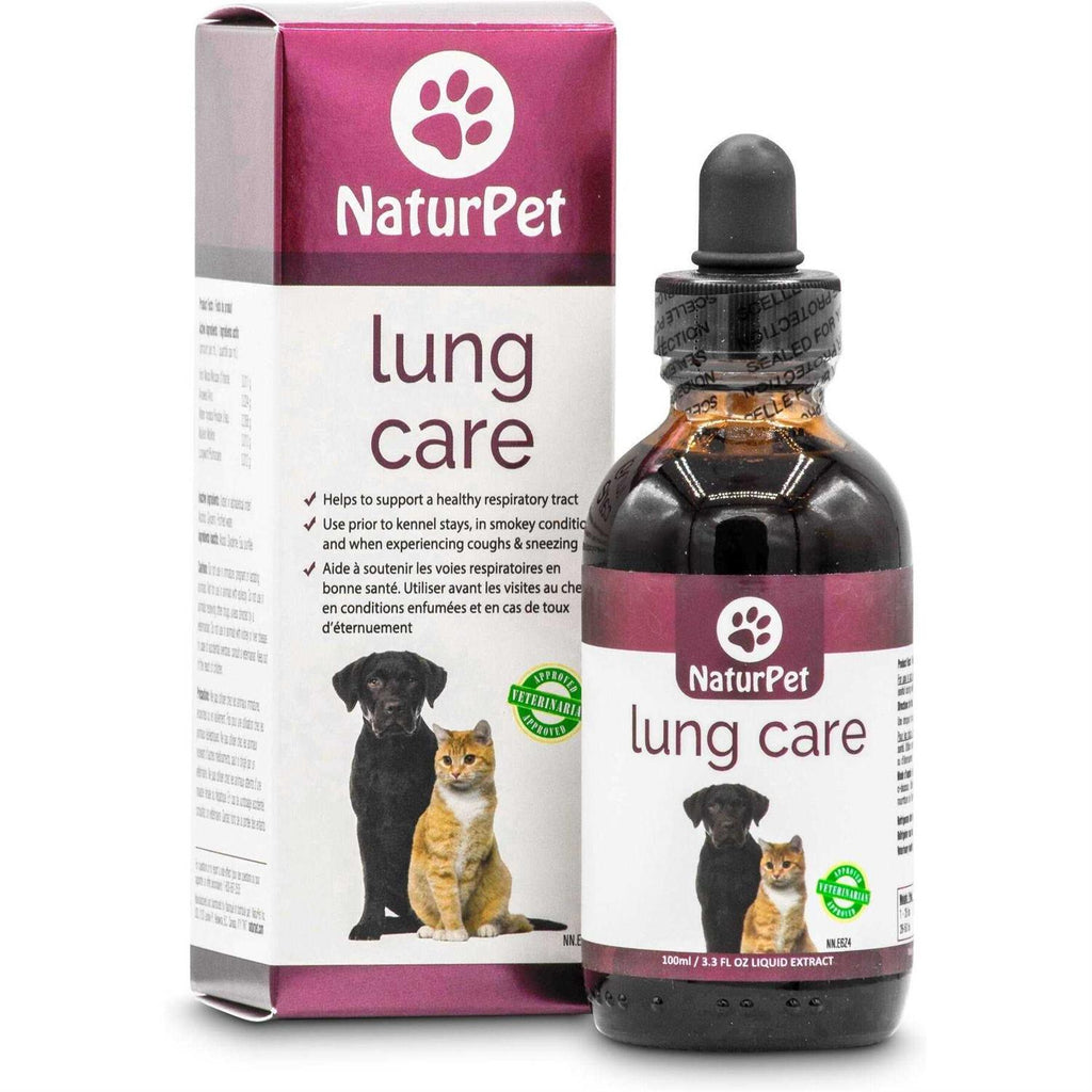 Lung Care I923831