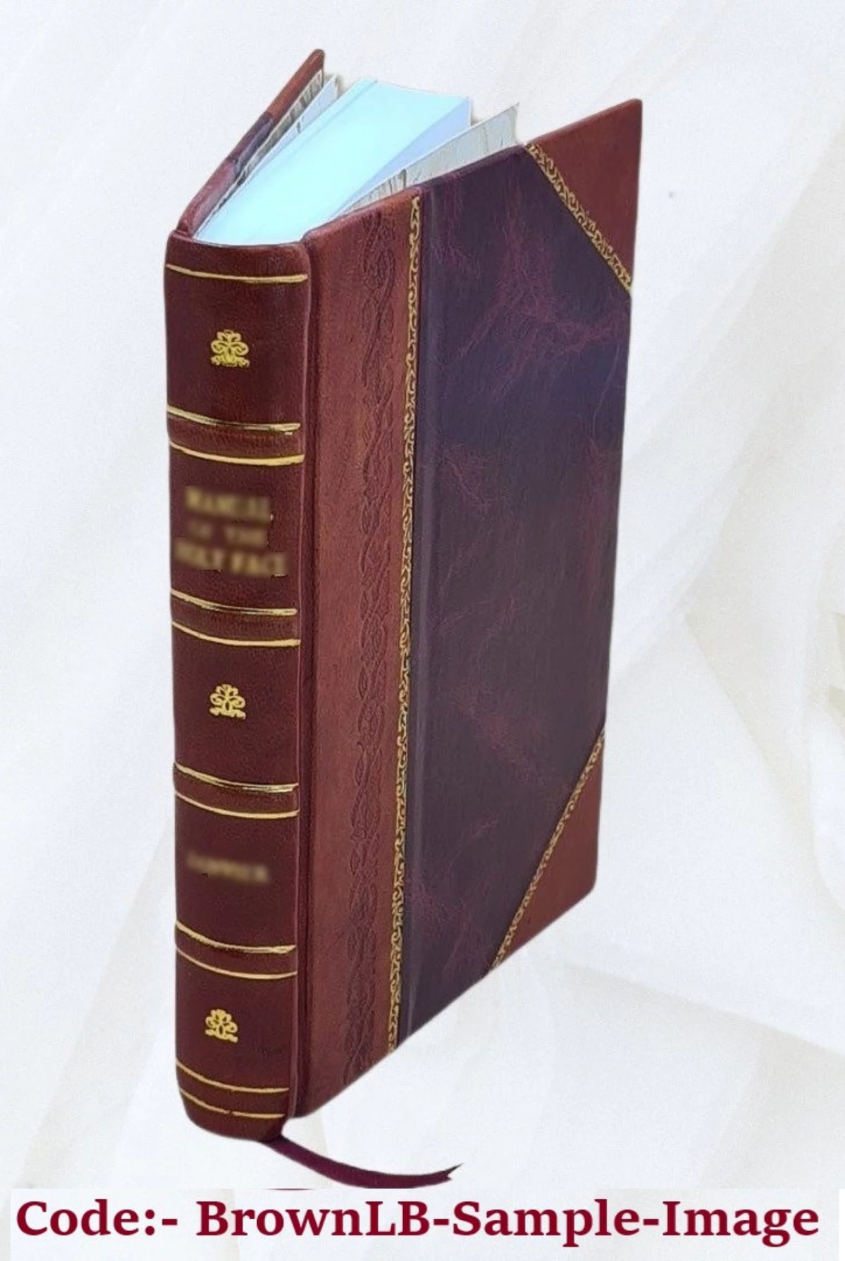 Civil War Leather Bound E445261