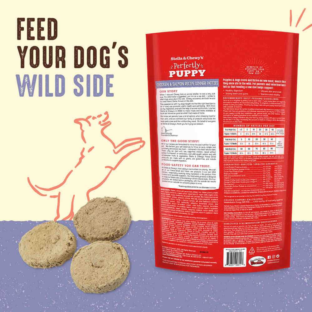 Freeze-Dried Raw Dog Food Salmon Patties J14345