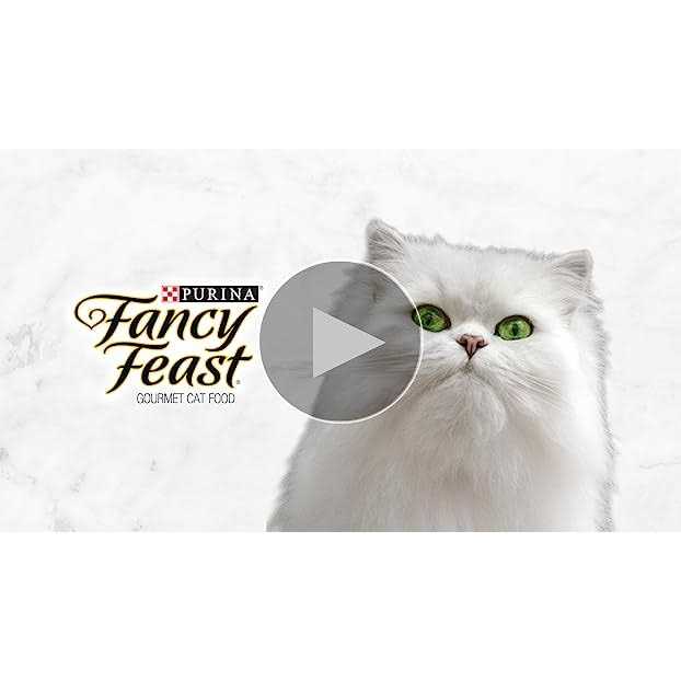 Wet Cat Food W28035