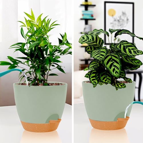 8/7/6.5/6/5.5/5 Inch White Self Watering Plastic Planters B36043