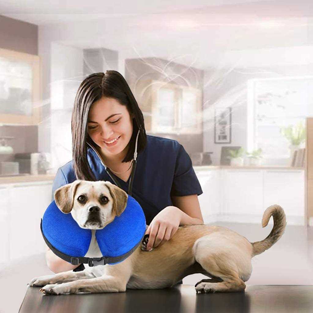 Protective Inflatable Cone Collar for Dogs and Cats E837748