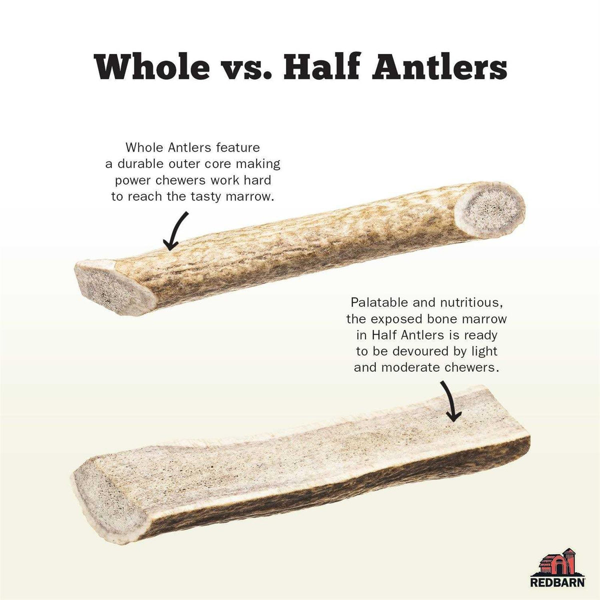 Deer Antler N55340