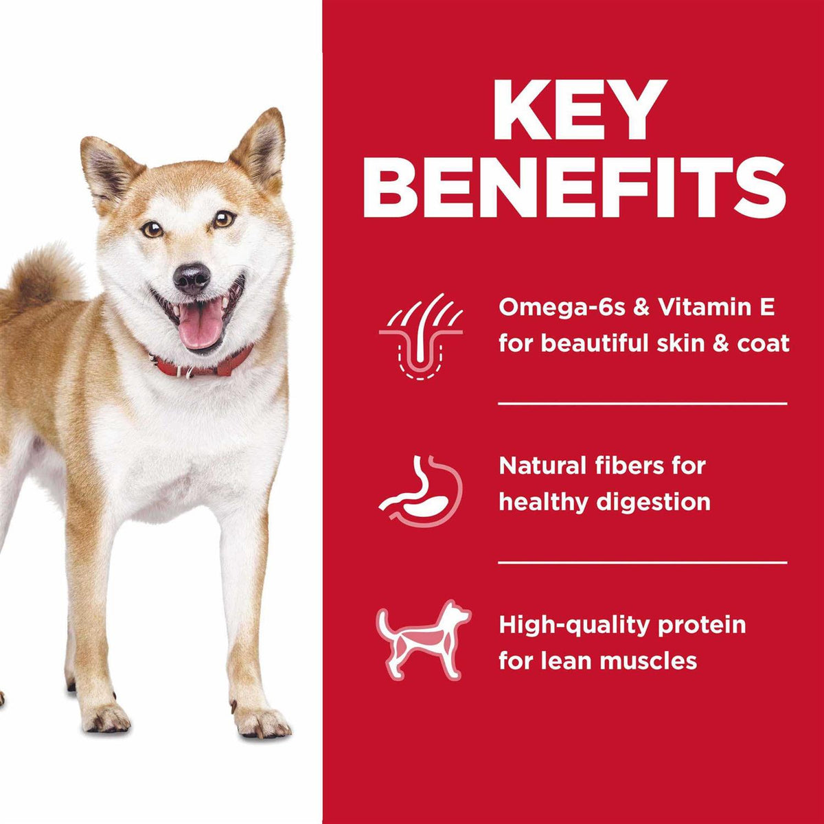 Chicken Dry Dog Food D1642