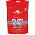 Freeze-Dried Raw Dog Food Salmon Patties J14345