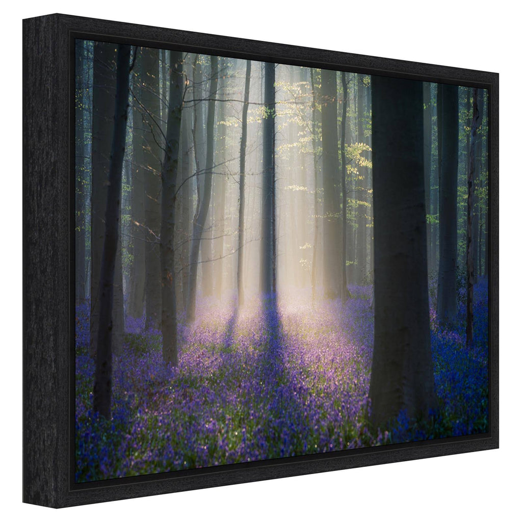 Framed Canvas Art A174