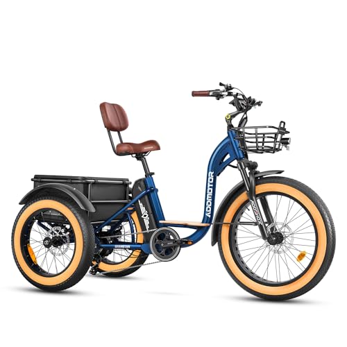 750W 48V 20Ah Battery Electric Tricycle G99777