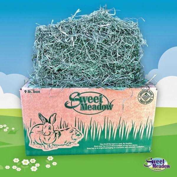 Timothy Hay Small Pet Food N535598