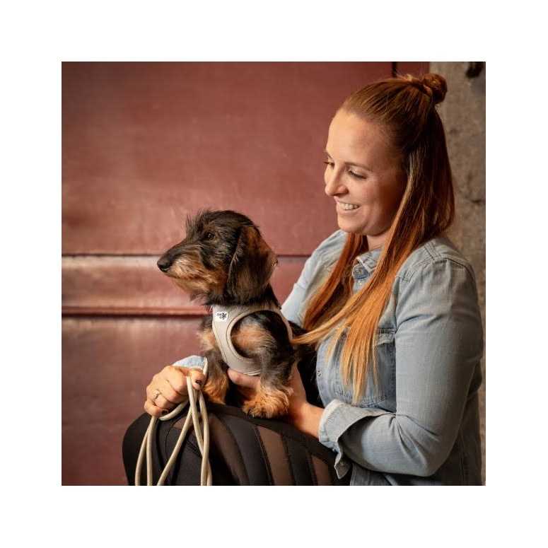 Air-Mesh Dog Harness H187