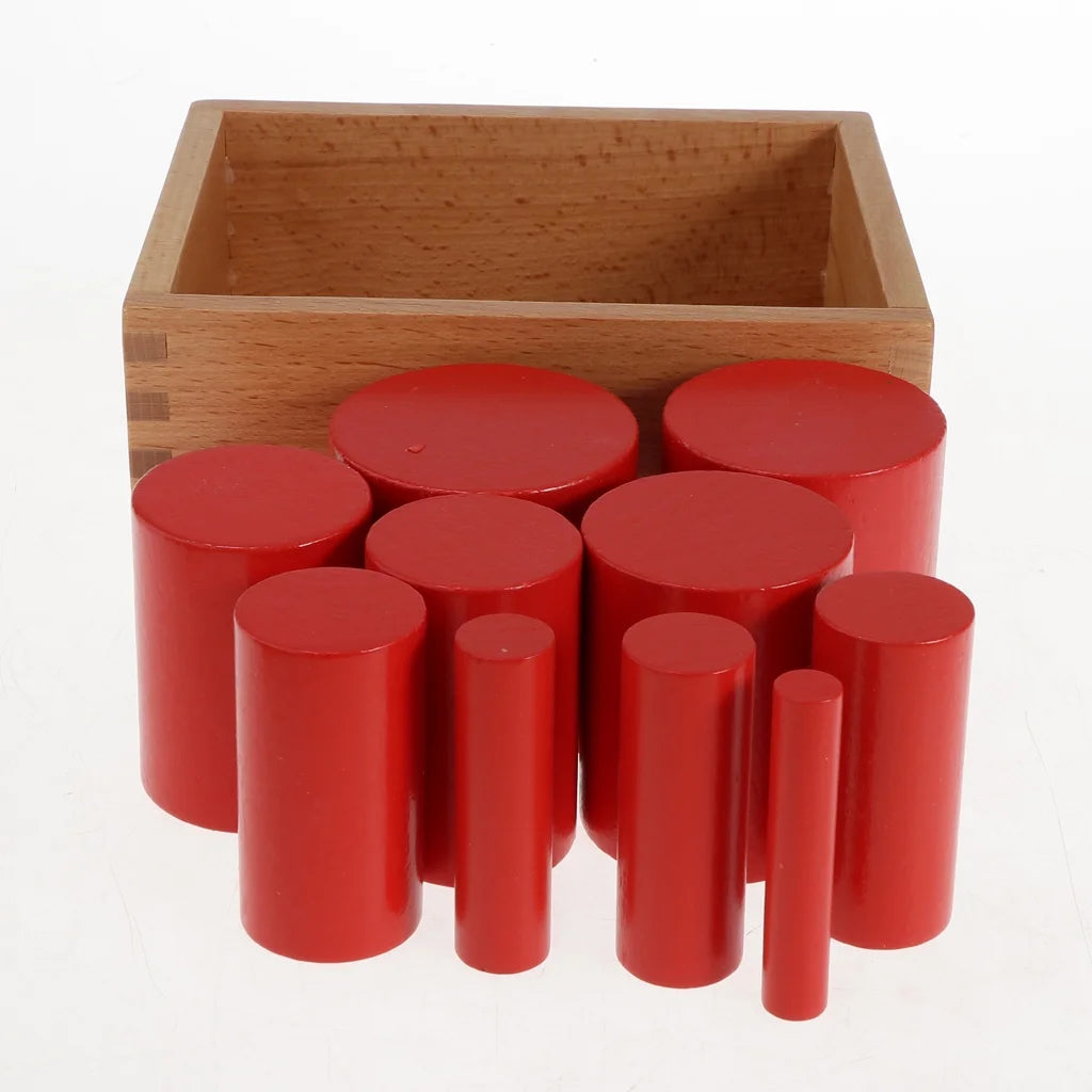 4 Sets Beechwood Montessori Knobless Cylinder Blocks Wooden Toy G378