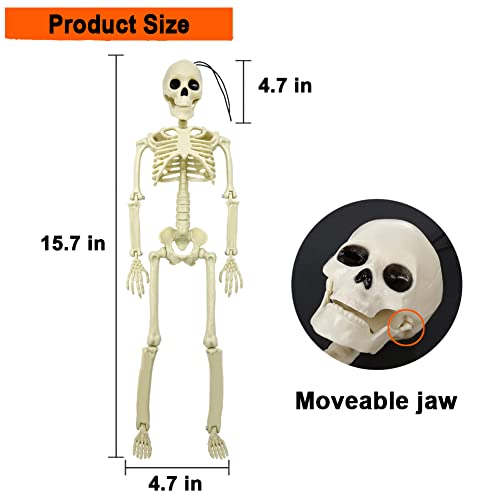 5.9FT Plastic Full Size Human Skeleton with Movable Joints O4896