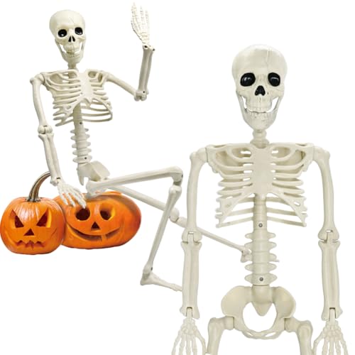 5.9FT Plastic Full Size Human Skeleton with Movable Joints O4896