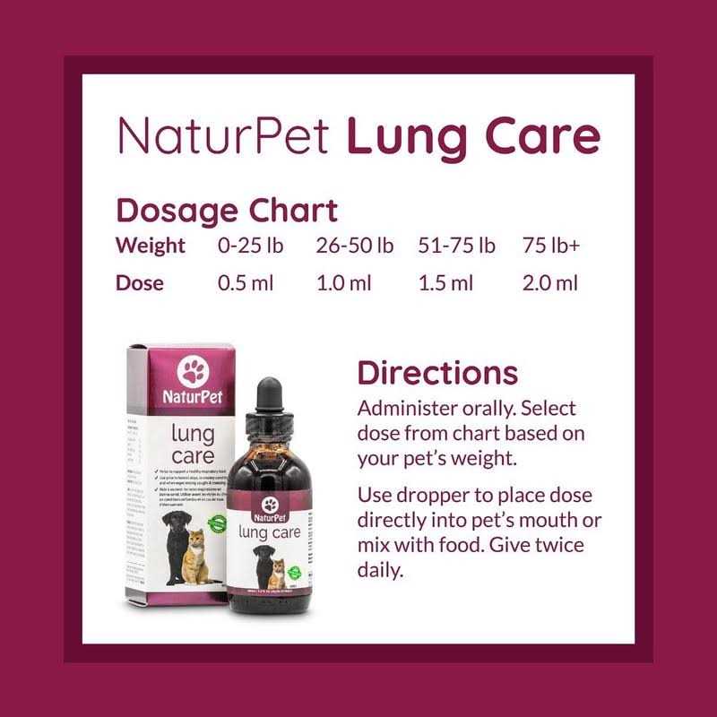 Lung Care I923831