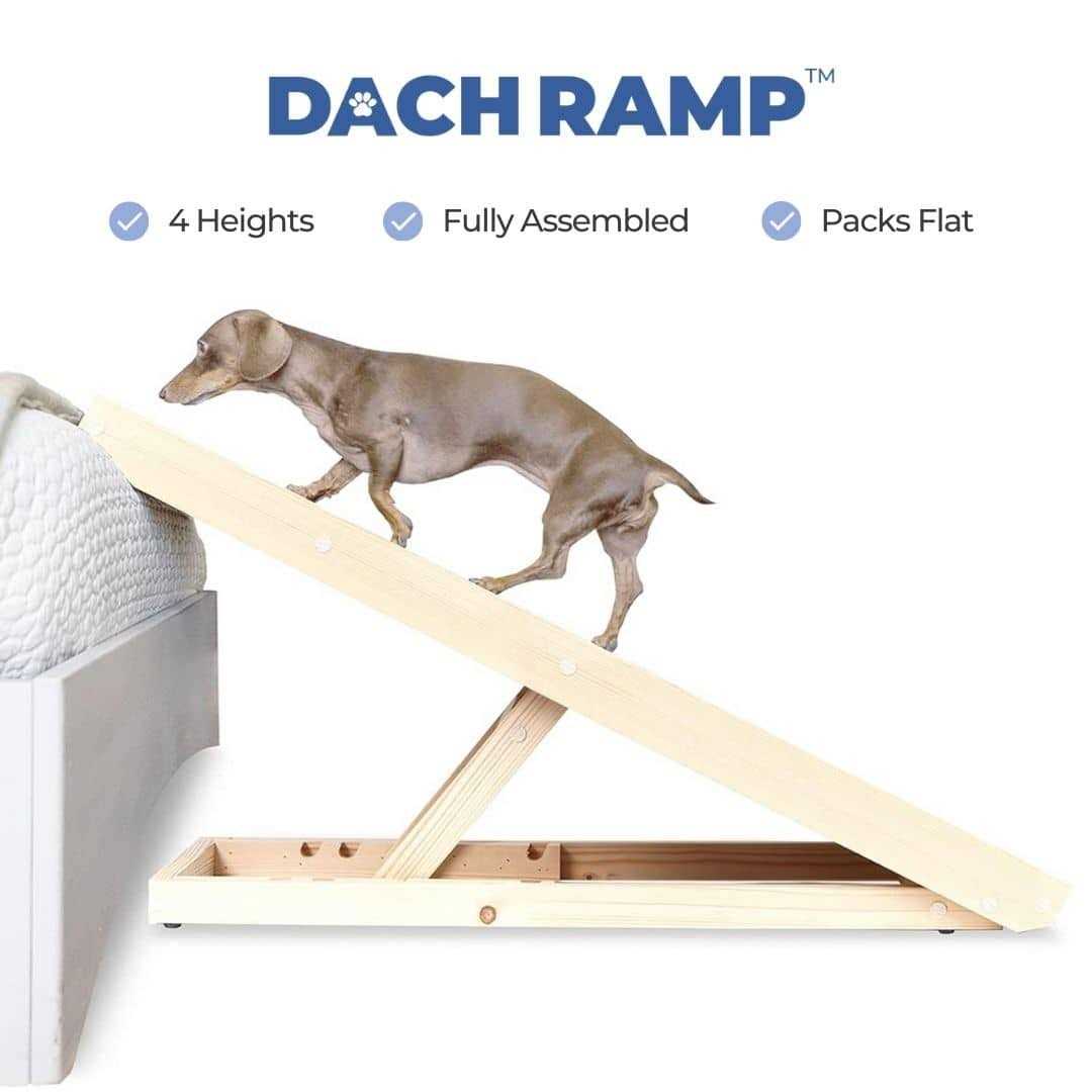 Dachshund Ramp F39899