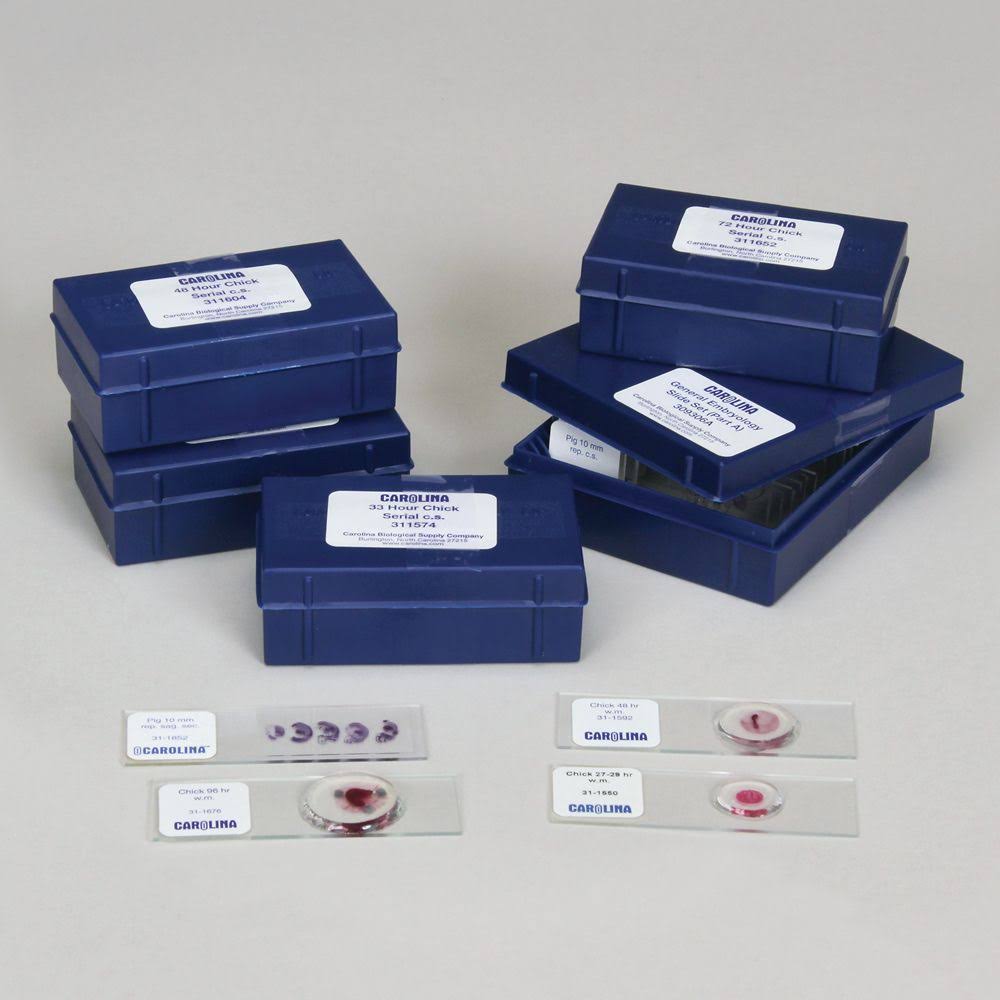 General Embryology Microscope Slide Set K7822