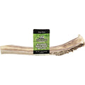Deer Antler N55340