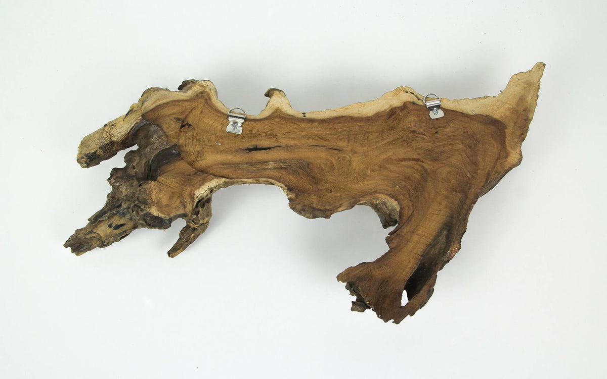 Carved Wood Whale Wall Hanging W425822