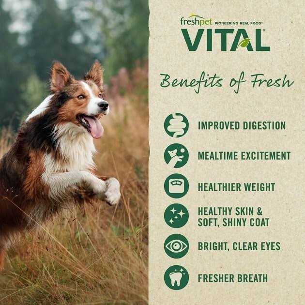Grain-Free Chicken Small Breed Dog Food L286657