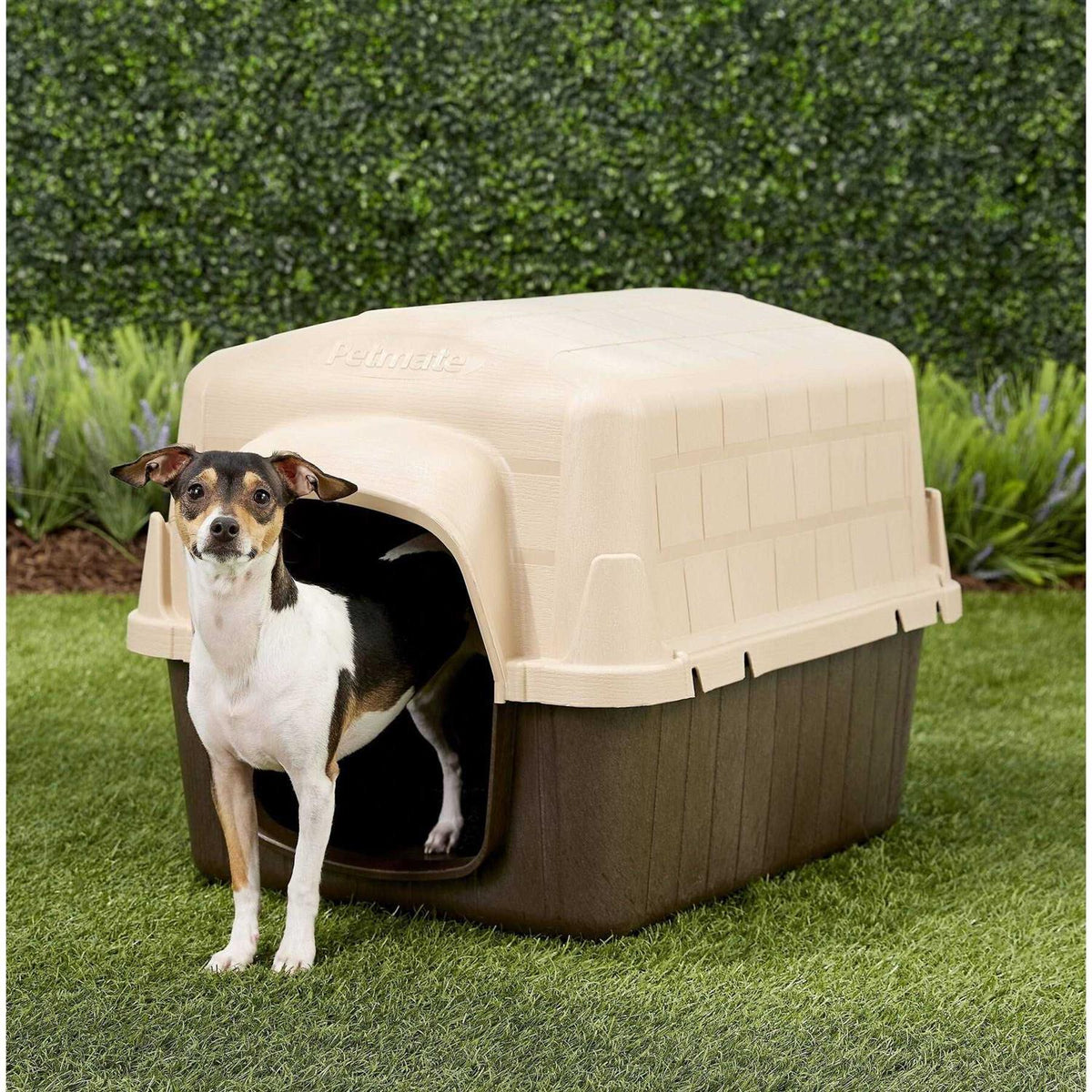 3 Dog House F90644