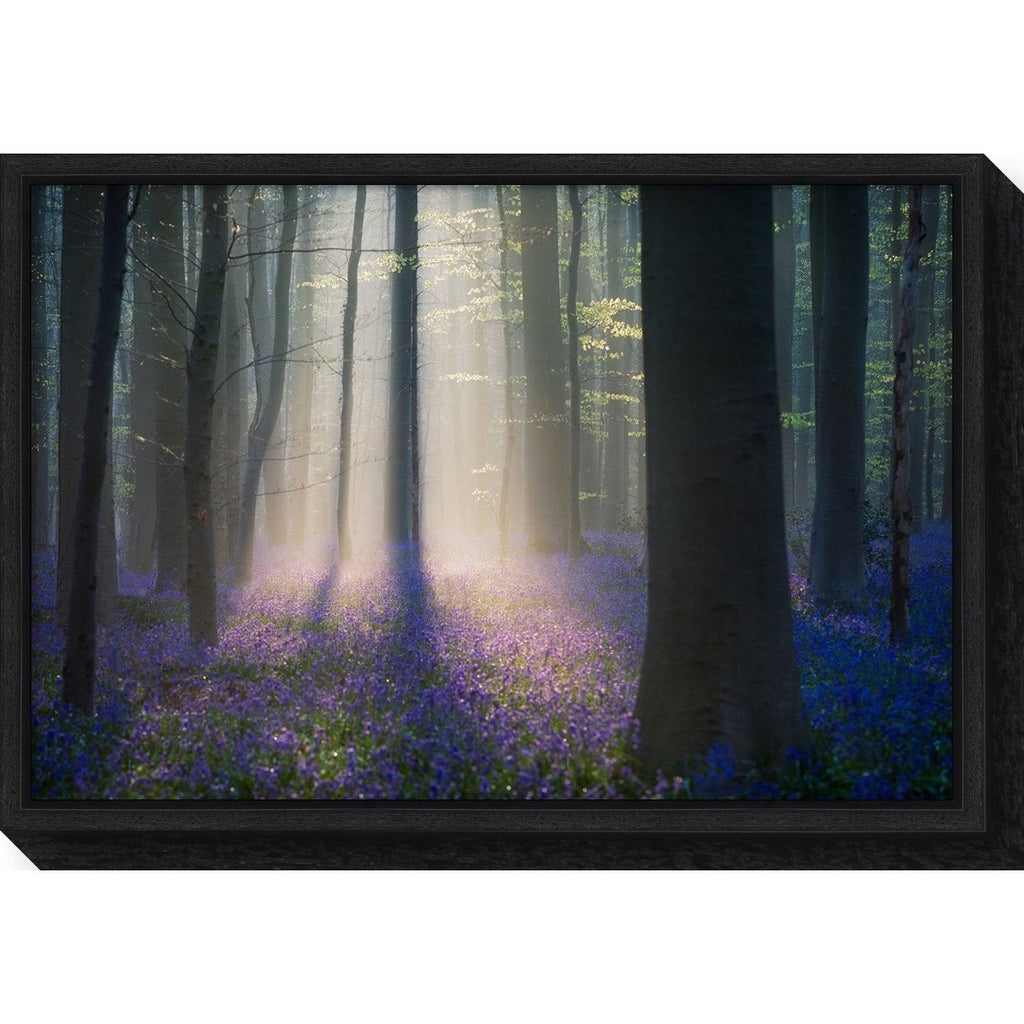 Framed Canvas Art A174