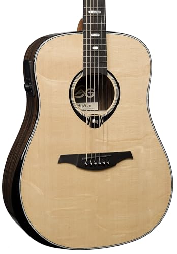 50 Dreadnought Bevel Gloss Acoustic Guitar X861