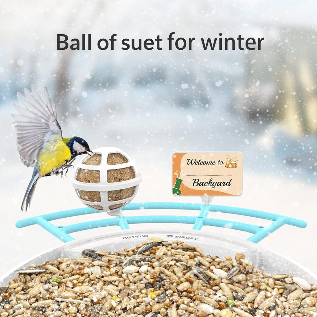 Bird Feeder with Camera U6450