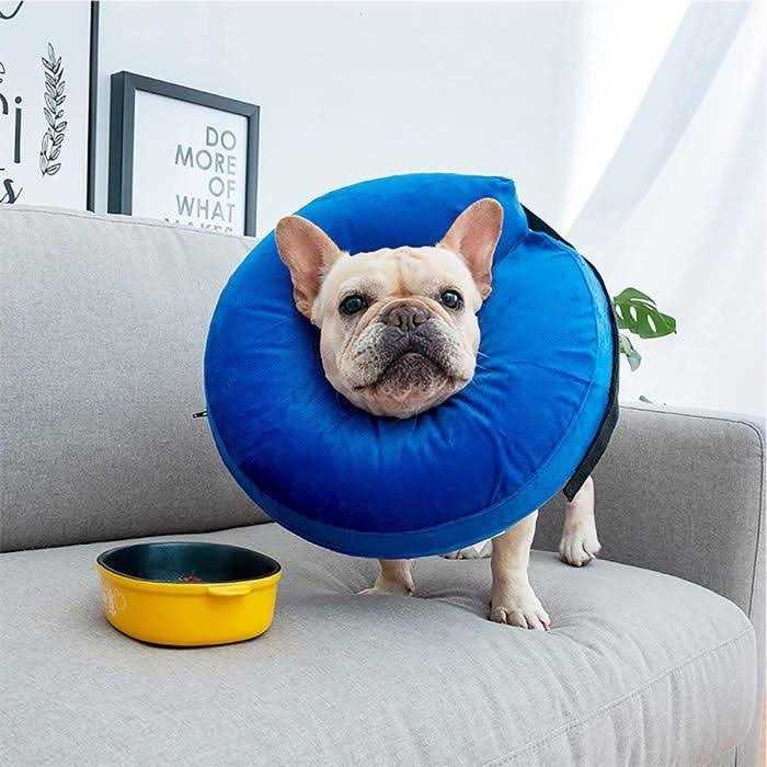 Protective Inflatable Cone Collar for Dogs and Cats E837748