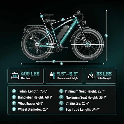 Electric Bike with 1500W Peak Motor, 48V 15Ah Battery, 26'' x 4'' Fat Tire R72195