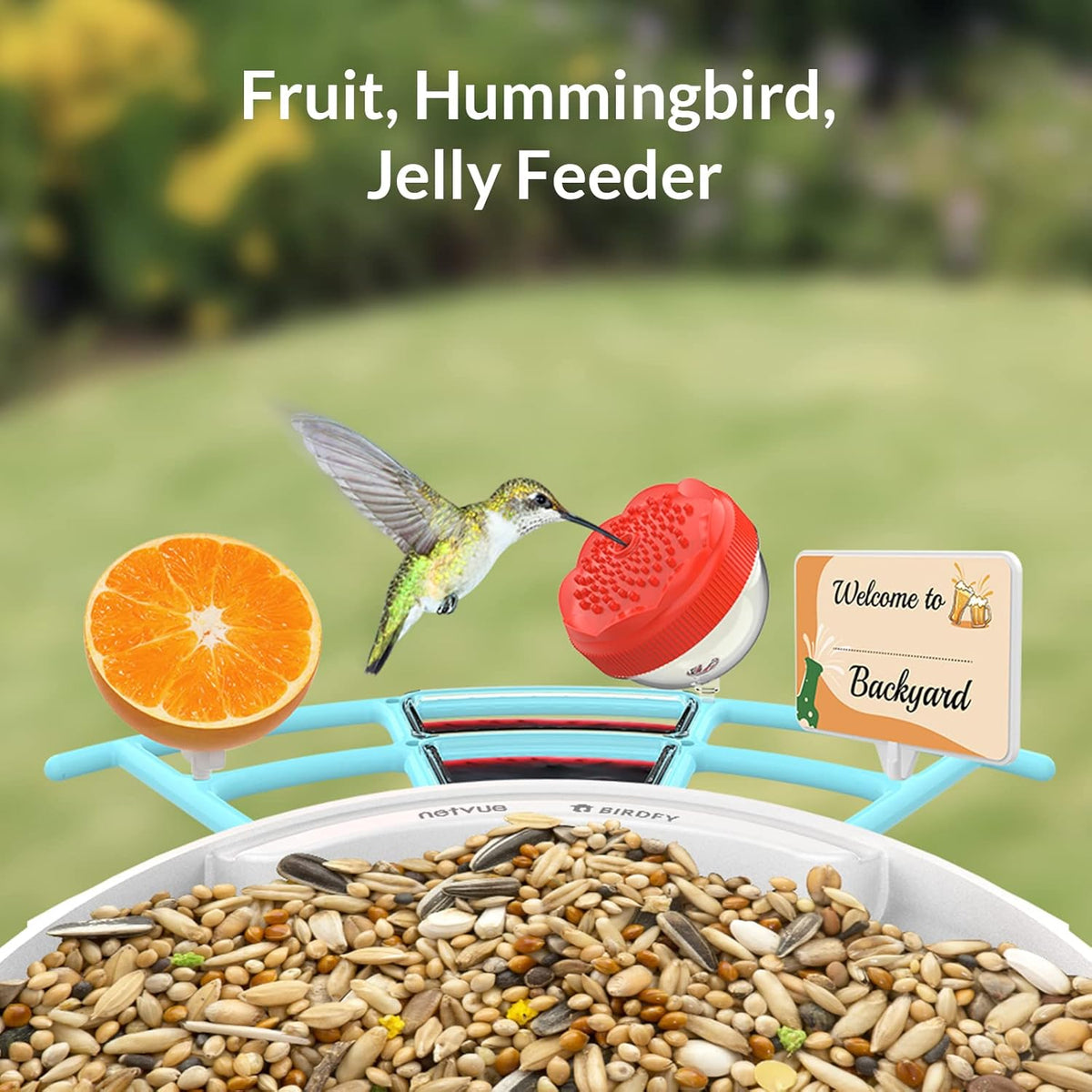 Bird Feeder with Camera U6450