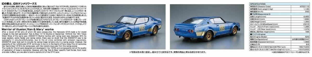1/24 Model Car N395855