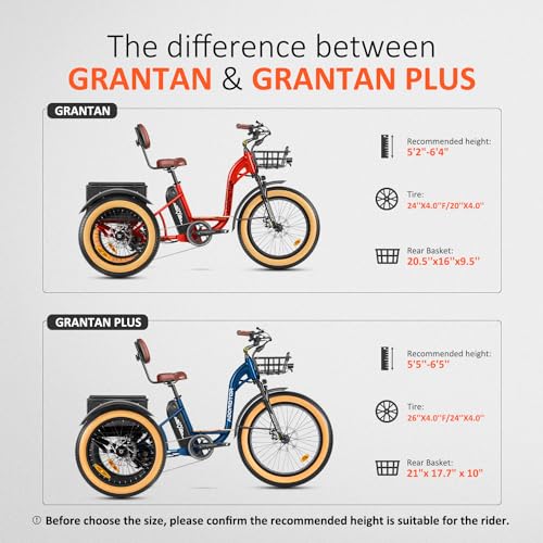 750W 48V 20Ah Battery Electric Tricycle G99777