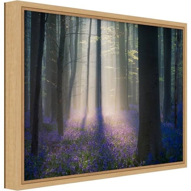 Framed Canvas Art A174