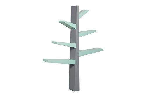 Green Bookcase G917