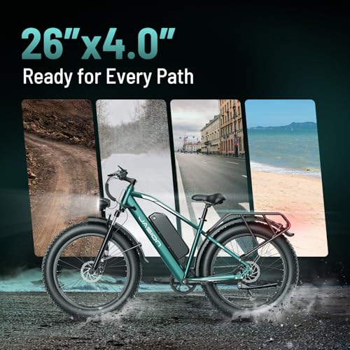 Electric Bike with 1500W Peak Motor, 48V 15Ah Battery, 26'' x 4'' Fat Tire R72195
