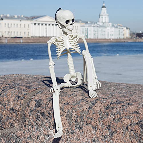 5.9FT Plastic Full Size Human Skeleton with Movable Joints O4896