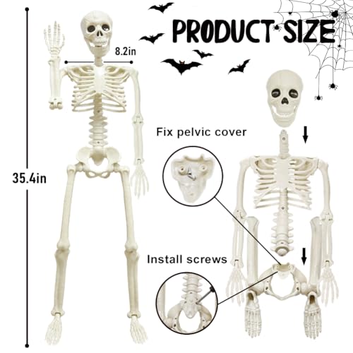 5.9FT Plastic Full Size Human Skeleton with Movable Joints O4896
