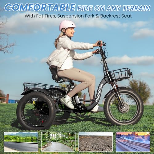 Electric Tricycle 350W 36V Removable Battery 7 Speeds 3 Wheels C466