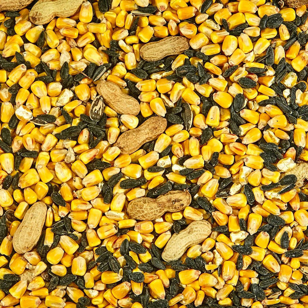 Squirrel Food E4917