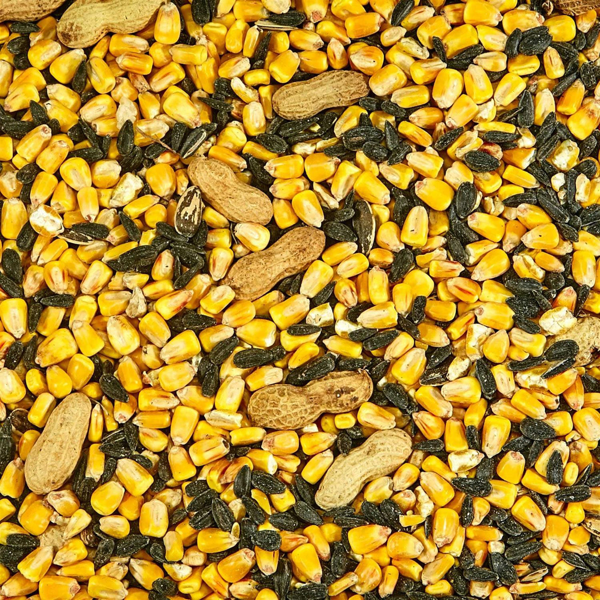 Squirrel Food E4917