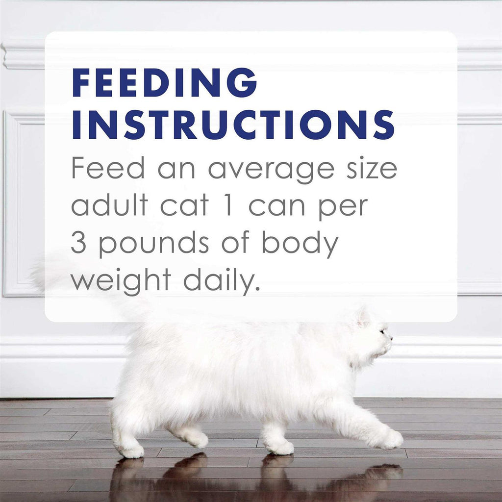 Wet Cat Food W28035