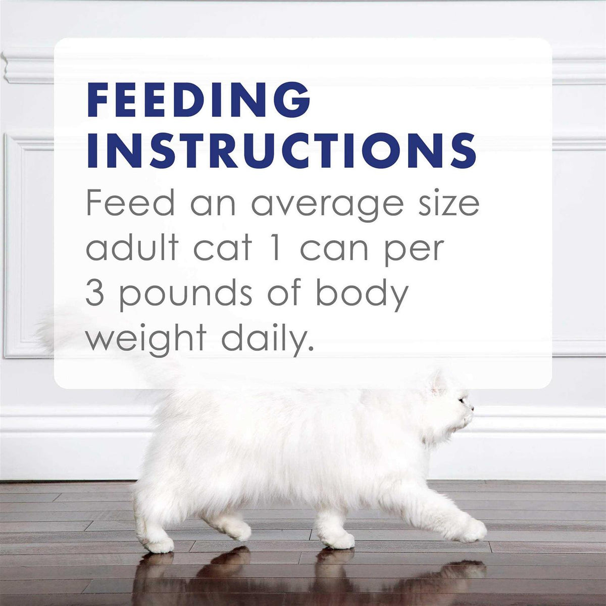 Wet Cat Food W28035