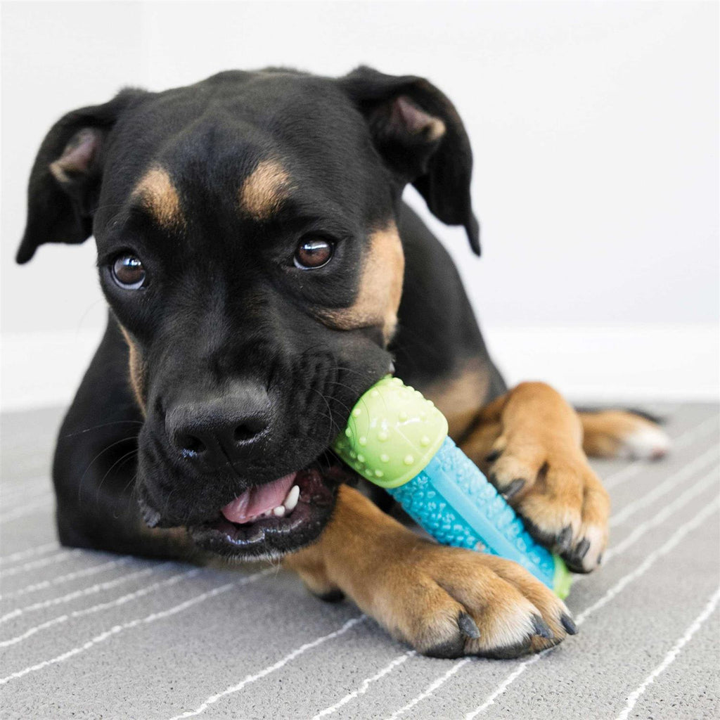 Dog Toy O122831