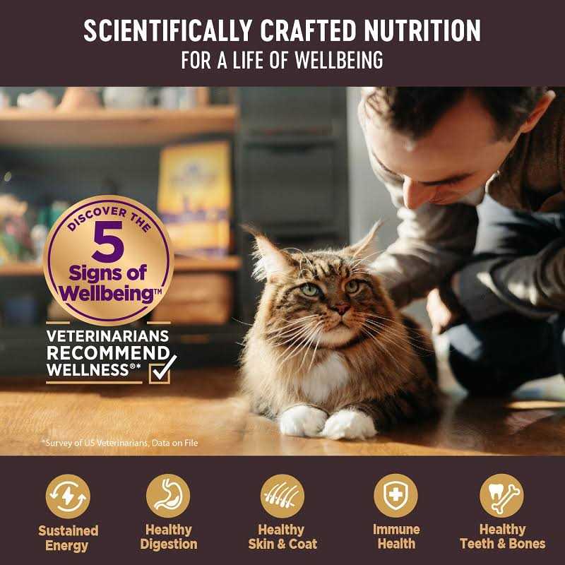 Grain Free Canned Cat Food A467017