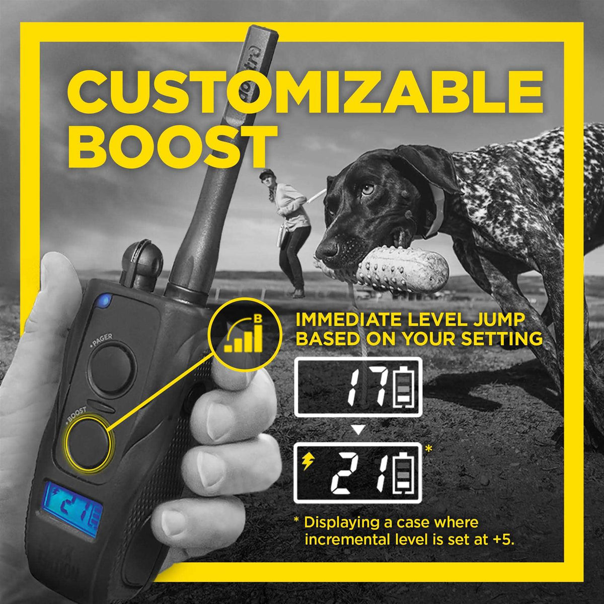 Black 1 Mile Remote Trainer U399858
